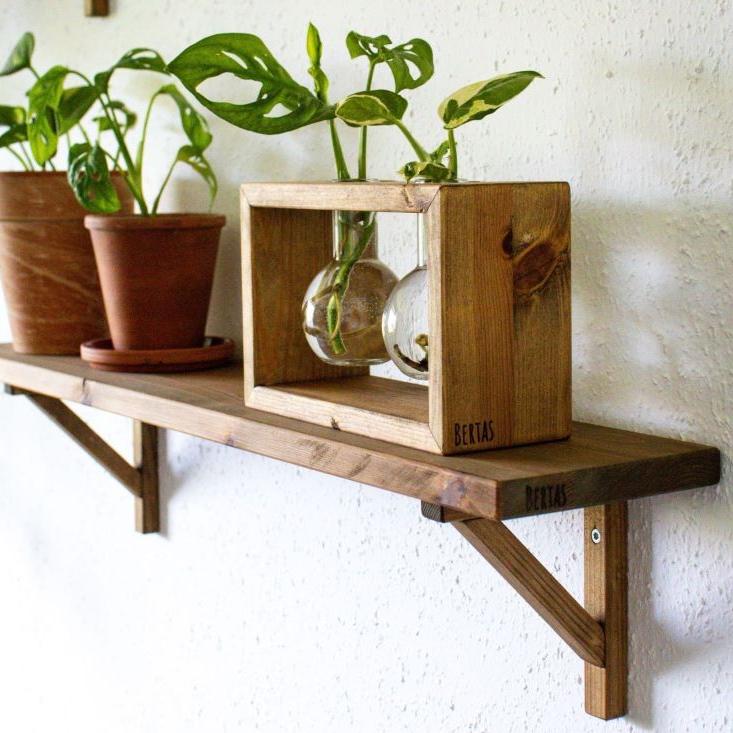 Pflanzen Vermehrungsstation aus Holz